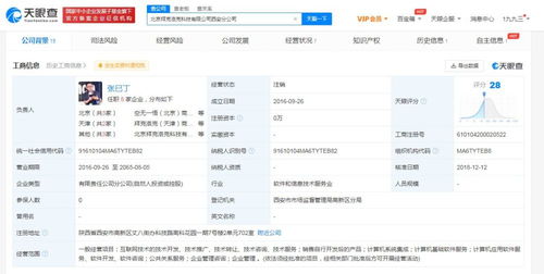 計算機(jī)系統(tǒng)集成服務(wù)的核心價值與實踐應(yīng)用